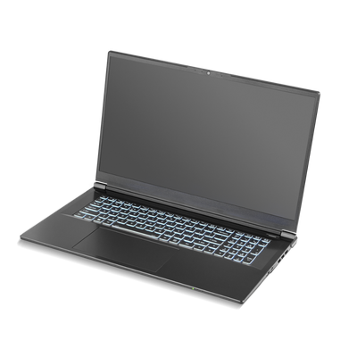 SurfThing Enhanced Level Laptop