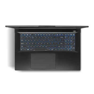 SurfThing Enhanced Level Laptop